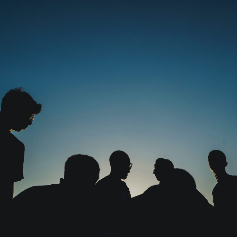 silhouette photo of people